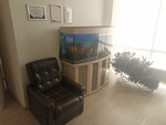 LLC Royal Noble House (Beryozovaya Alley, 14Бс2) ، بيع مواد البناء بالجملة