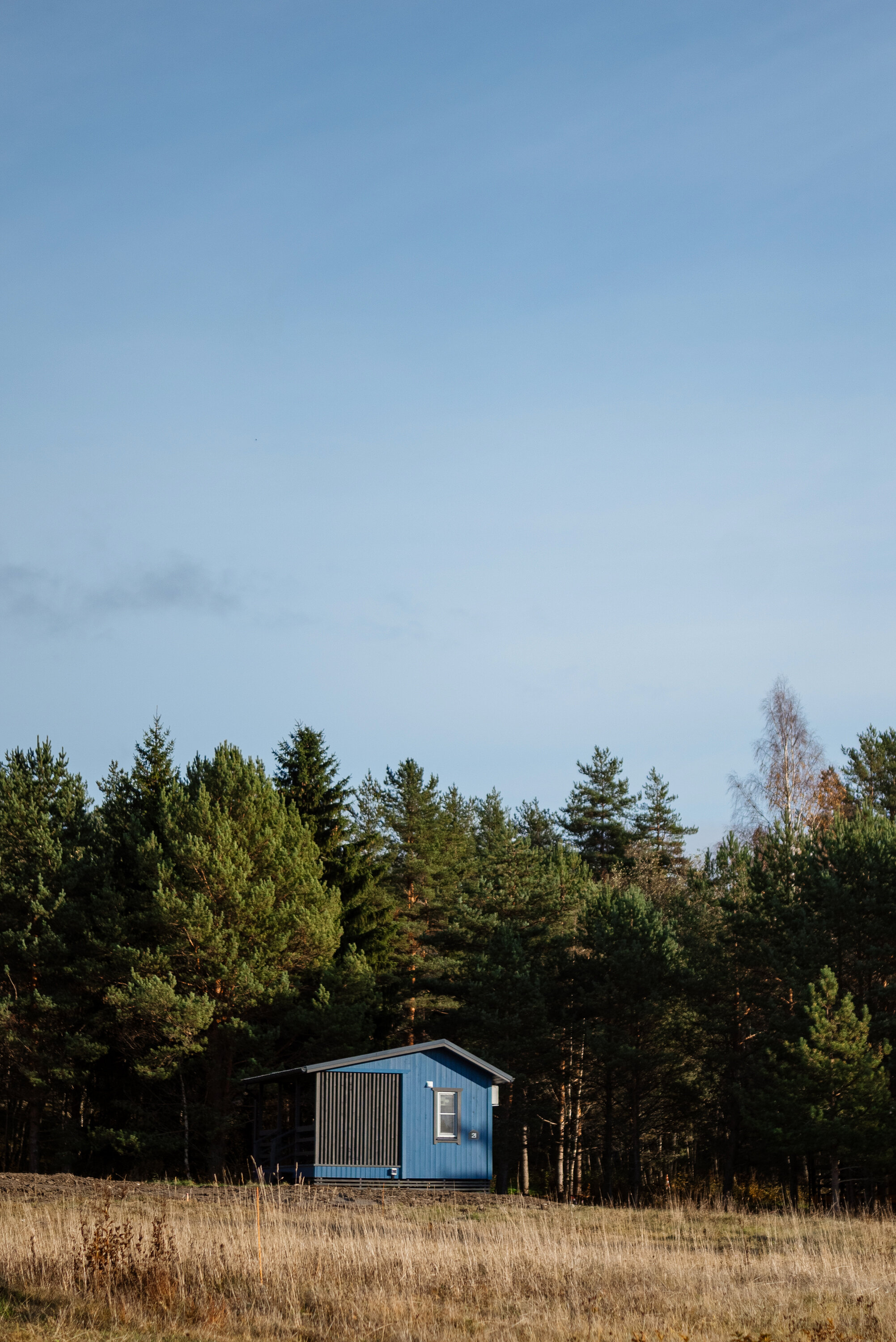 Фото Ягодная деревня