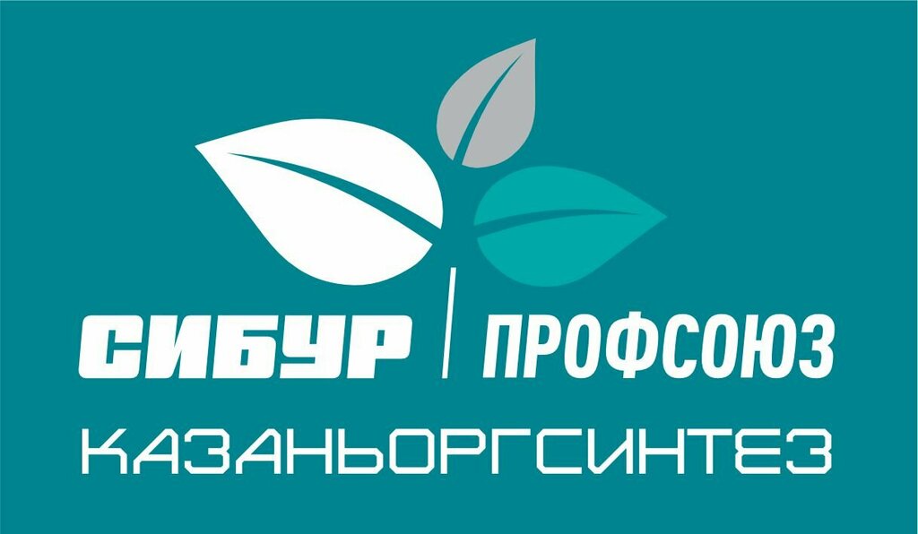 Labor union Первичная Профсоюзная организация Казаньоргсинтез профсоюза химиков России, Kazan, photo