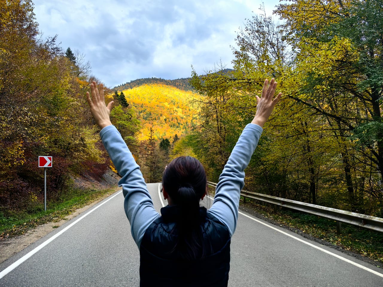 Фото Шале Дрозды