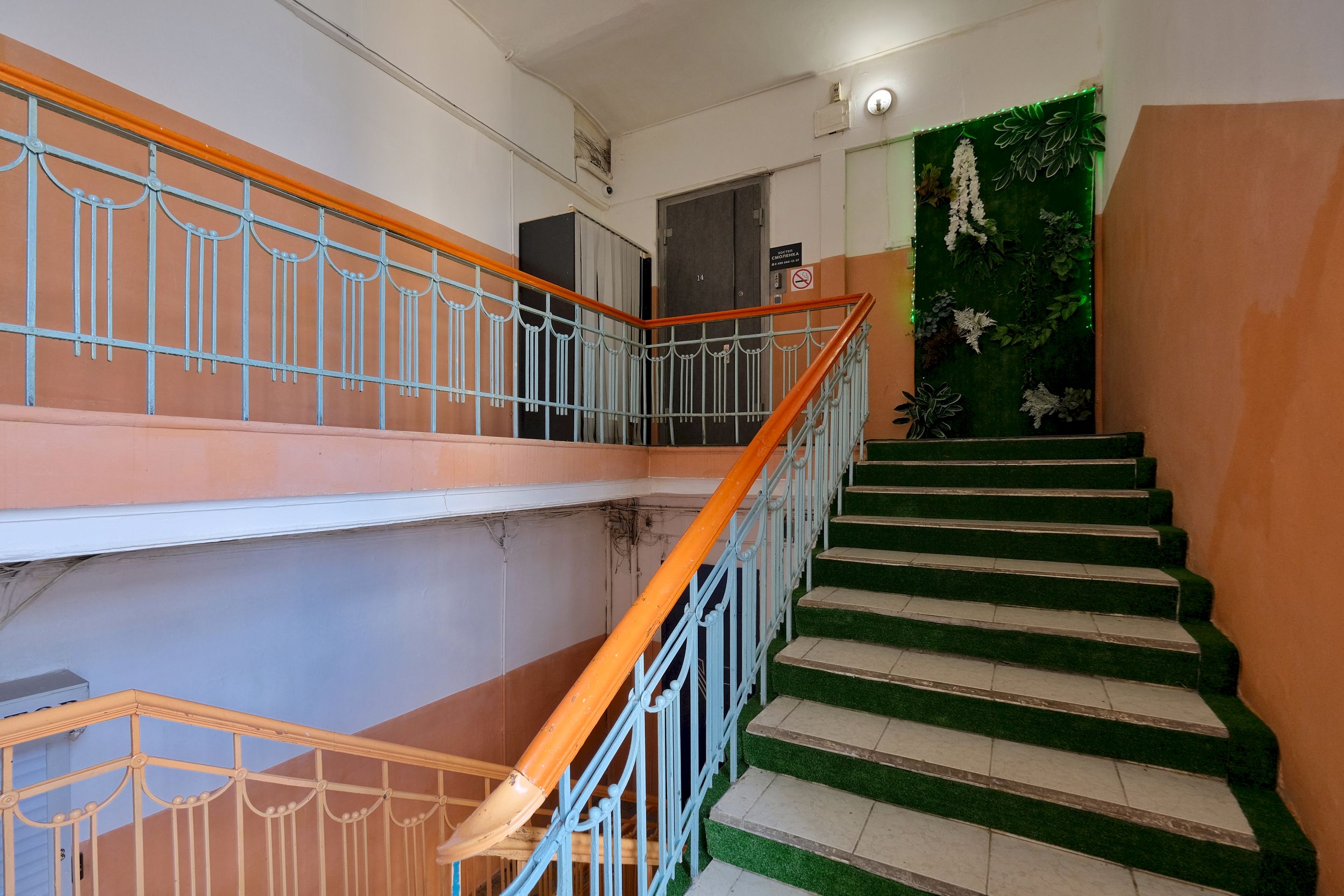 Фото Смоленка