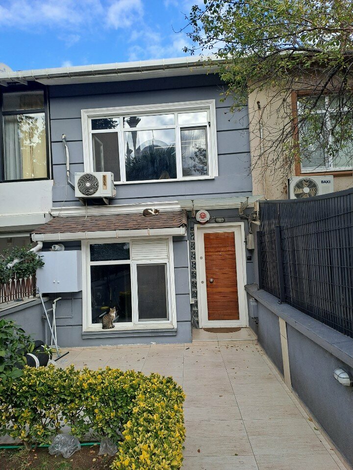 Advertising agency Adinteraction Advertising Management, Istanbul, photo