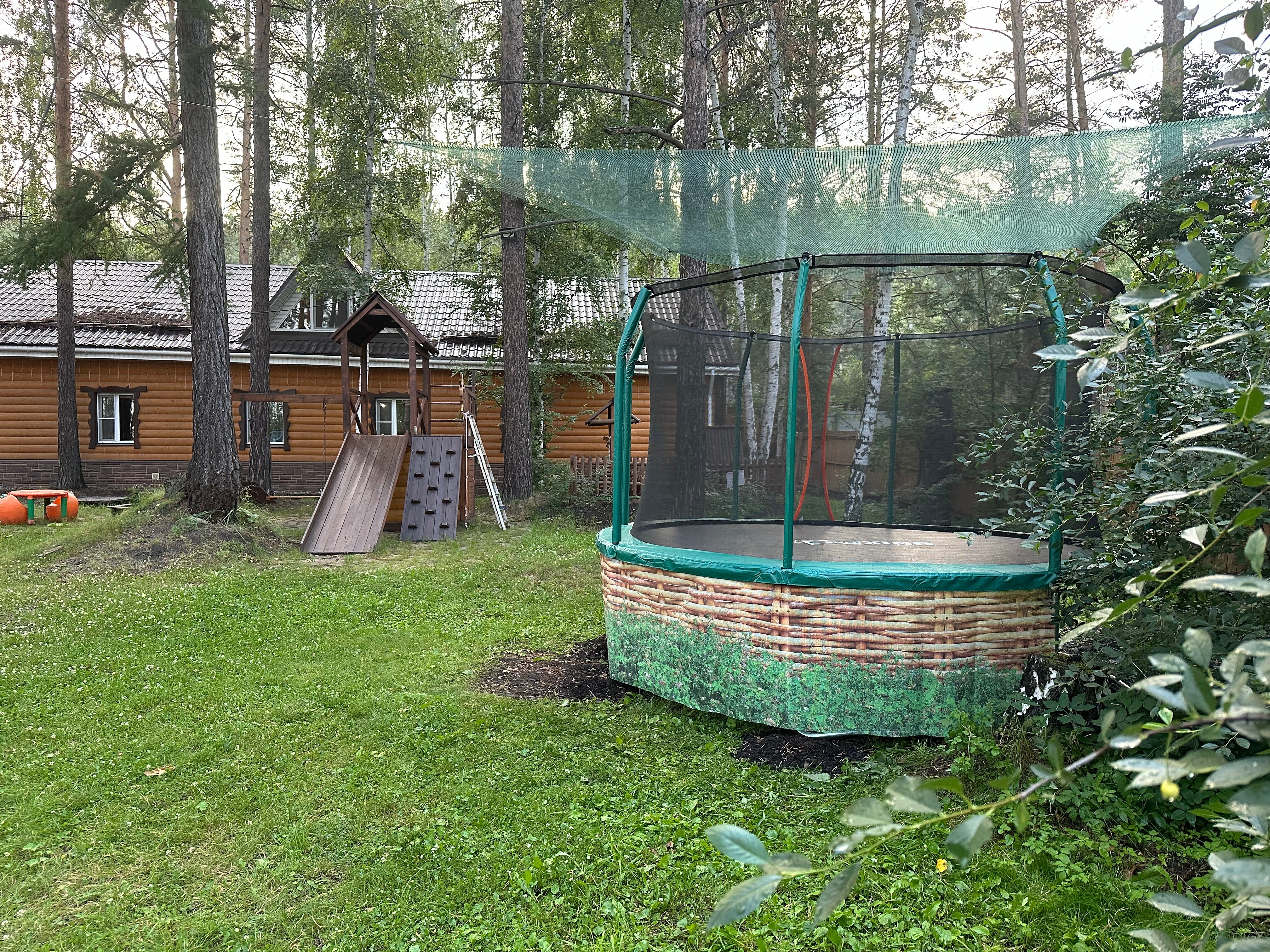 Фото Сосны-Лес