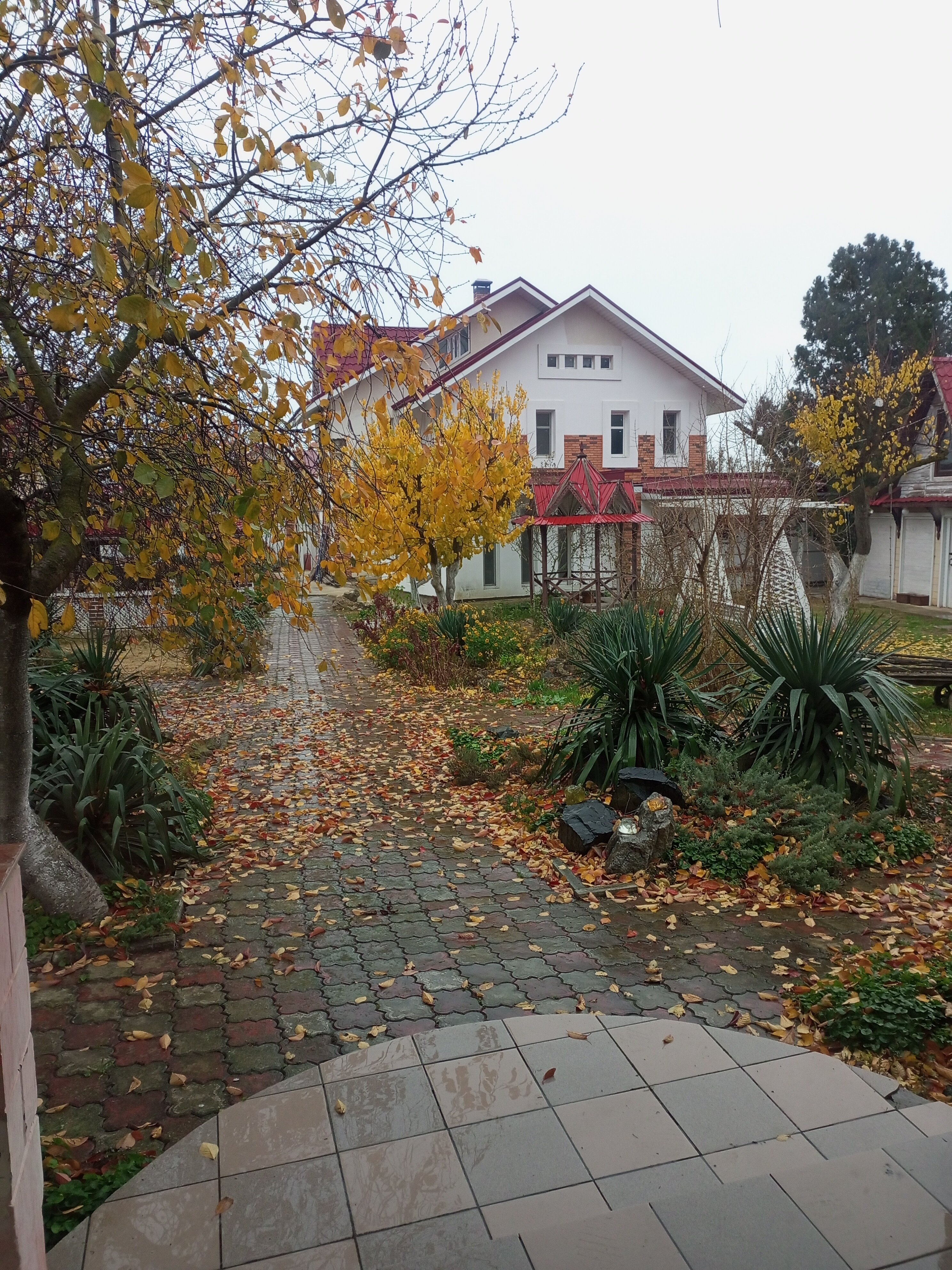 Фото Ройтош