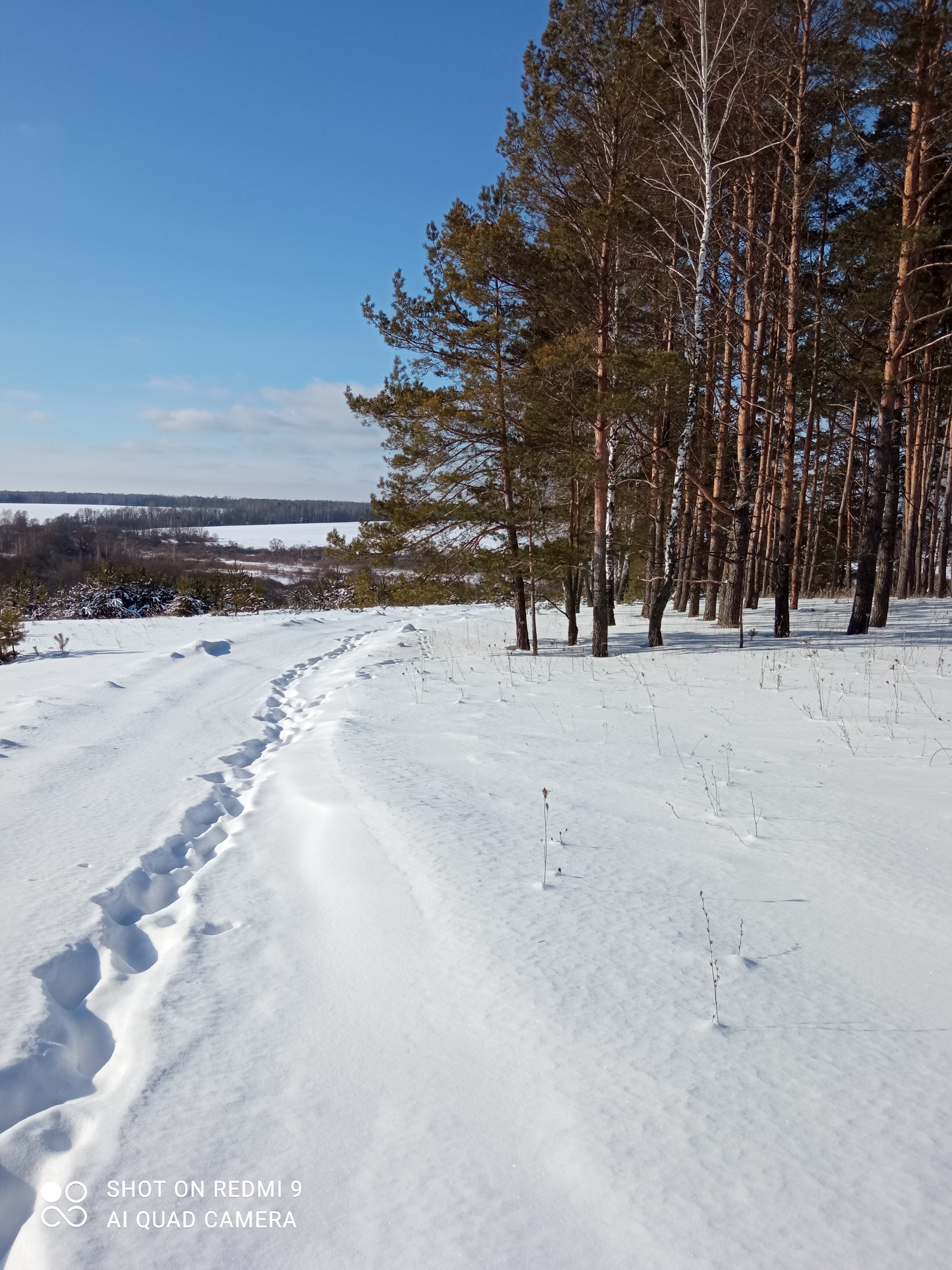 Фото Домики Бородино