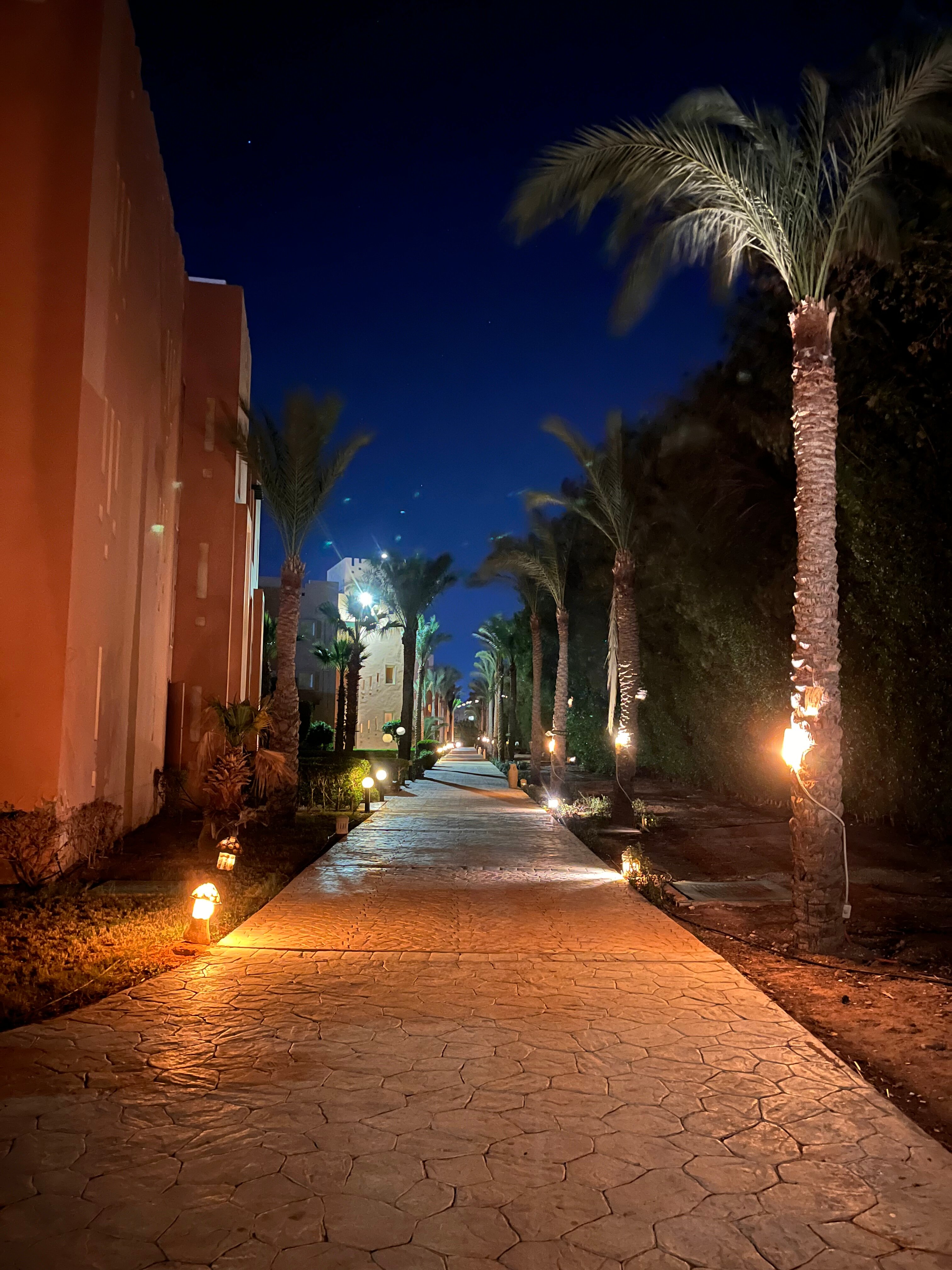 Фото Rehana Sharm Resort