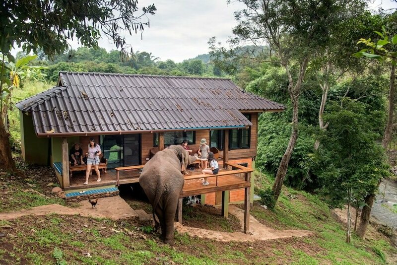 Гостиница Chiang Mai Elephant Friends
