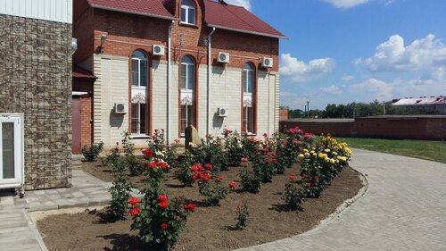 Гостиница Старая мельница в Ленинградской