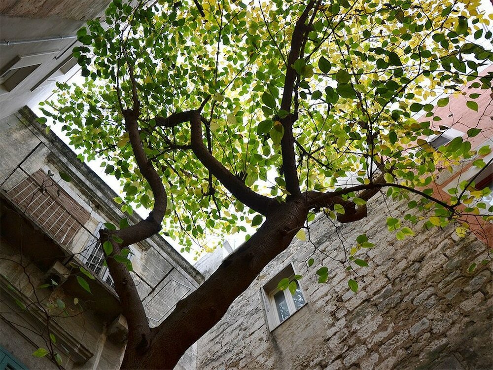 Фото Suite Home Trani Old Town