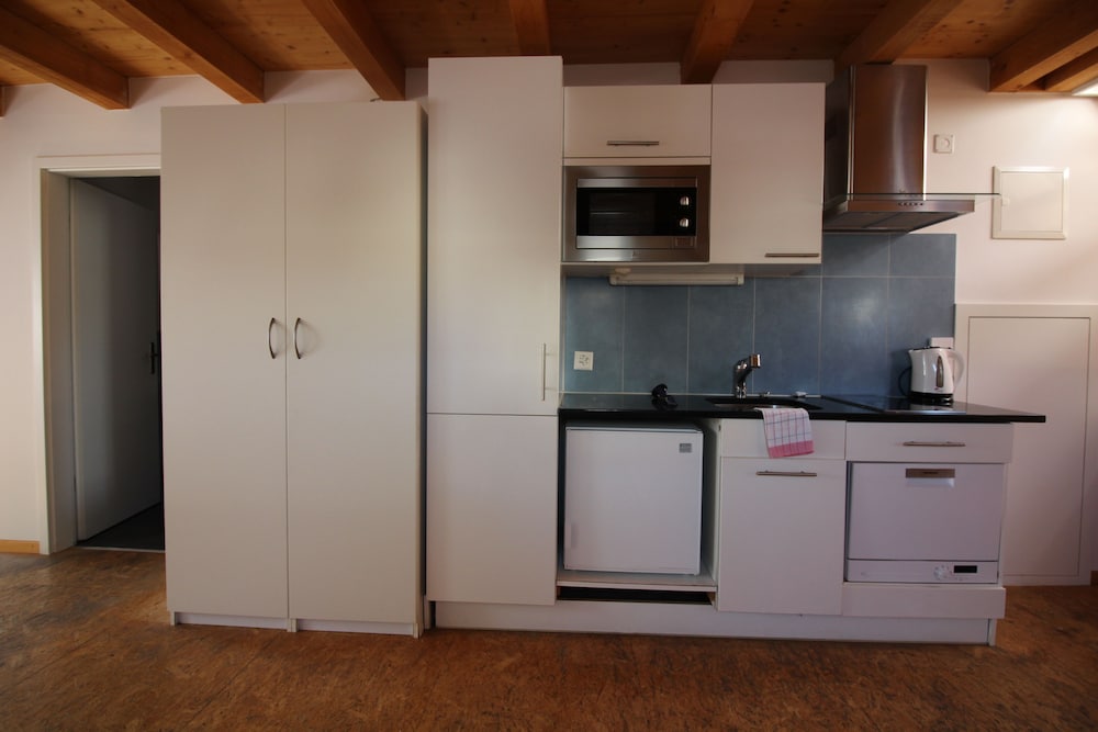 Фото Apartments Swiss Star Sihlfeld