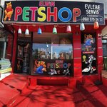 Elwin Petshop (Ankara Province, Etimesgut District, Atakent Neighborhood, Martyr Celal Isen Avenue, 2D), pet shop