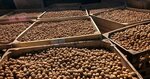Ak Koza Agricultural Products (Bursa, Osmangazi, Çukurcaköy Mah., 4.Çelik Sok., 9) ، المشاريع الزراعية