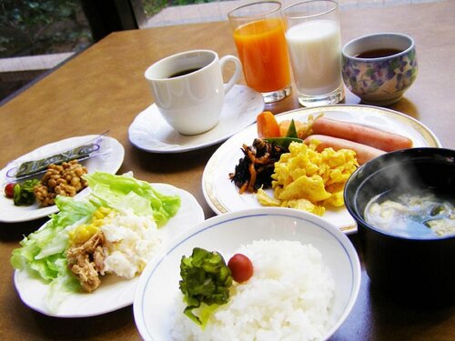 Гостиница Hotel Tsubame Hills
