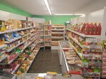 Кучтэнэч (selo Tatarskoye Khodyashevo, Sovetskaya ulitsa, 39), grocery