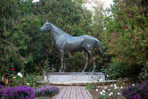 Museum Музей конного завода Восход, Krasnodar Krai, photo
