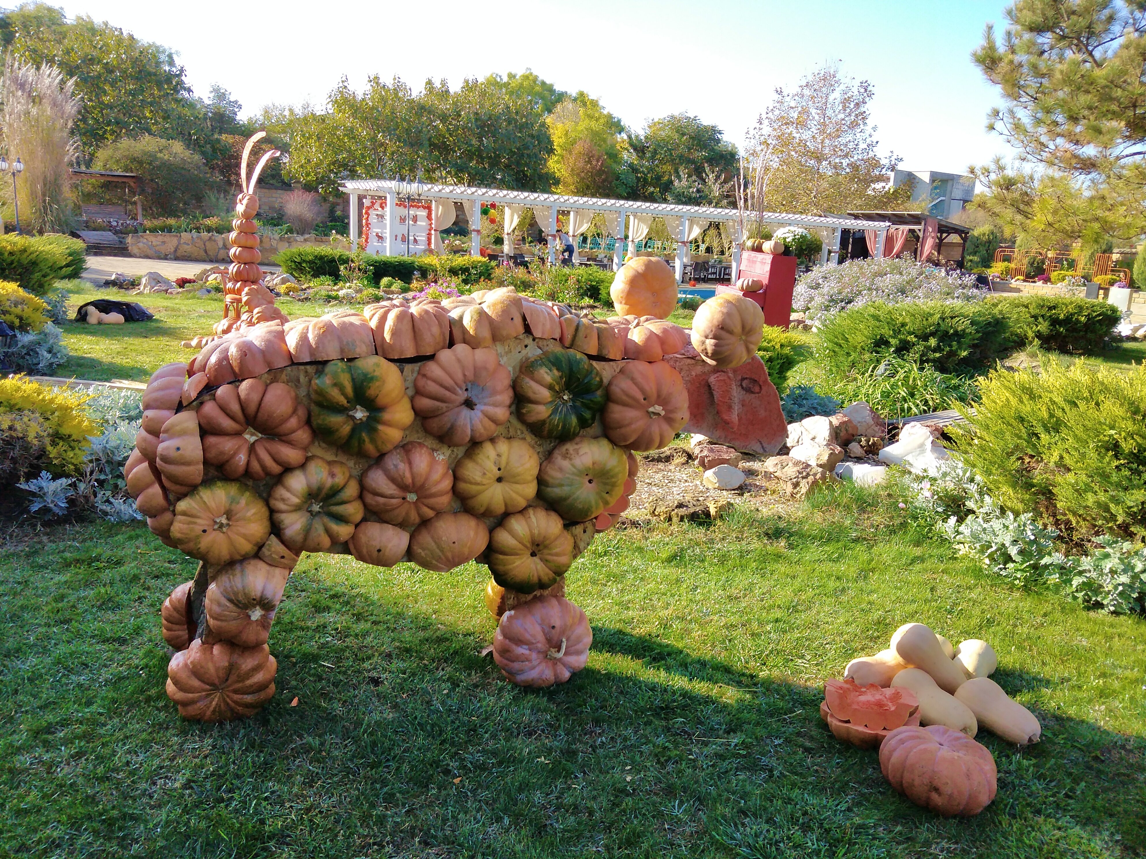 Фото Озеро сновидений