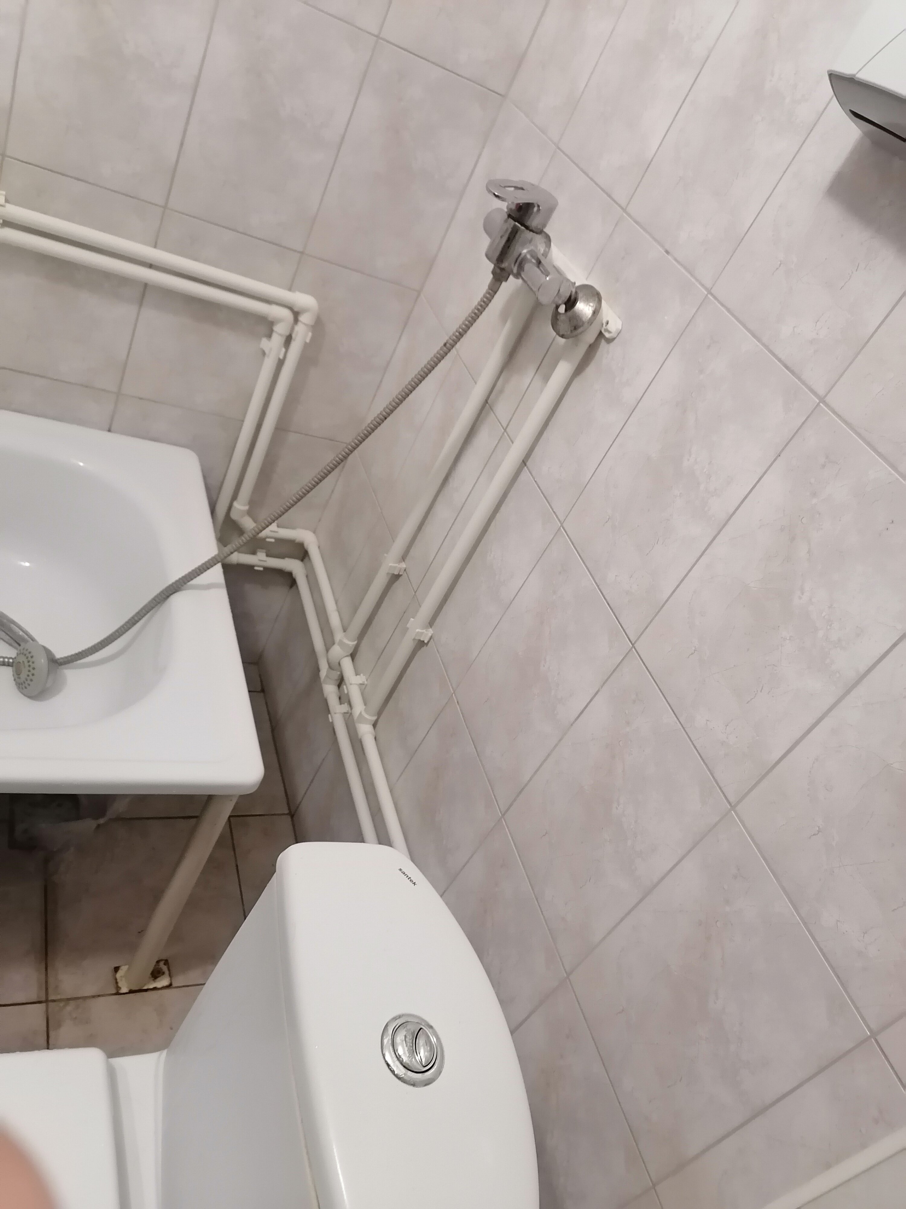 Фото Виктория