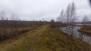 Городище IV-VI веков Березняки (Yaroslavl Region, Rybinskiy munitsipalny okrug, posyolok Pesochnoye, kholm Krugliki), landmark, attraction