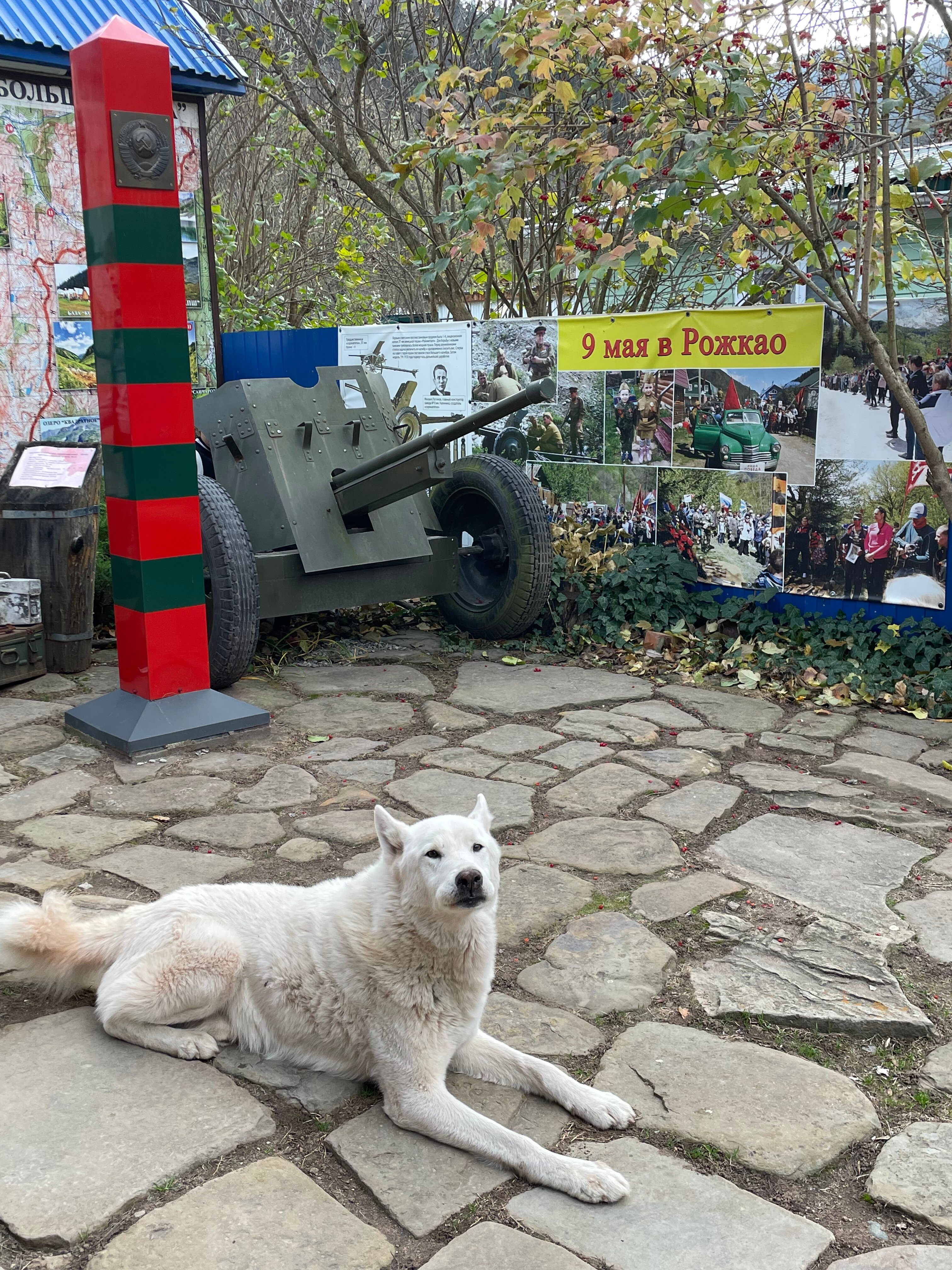 Фото Комбат