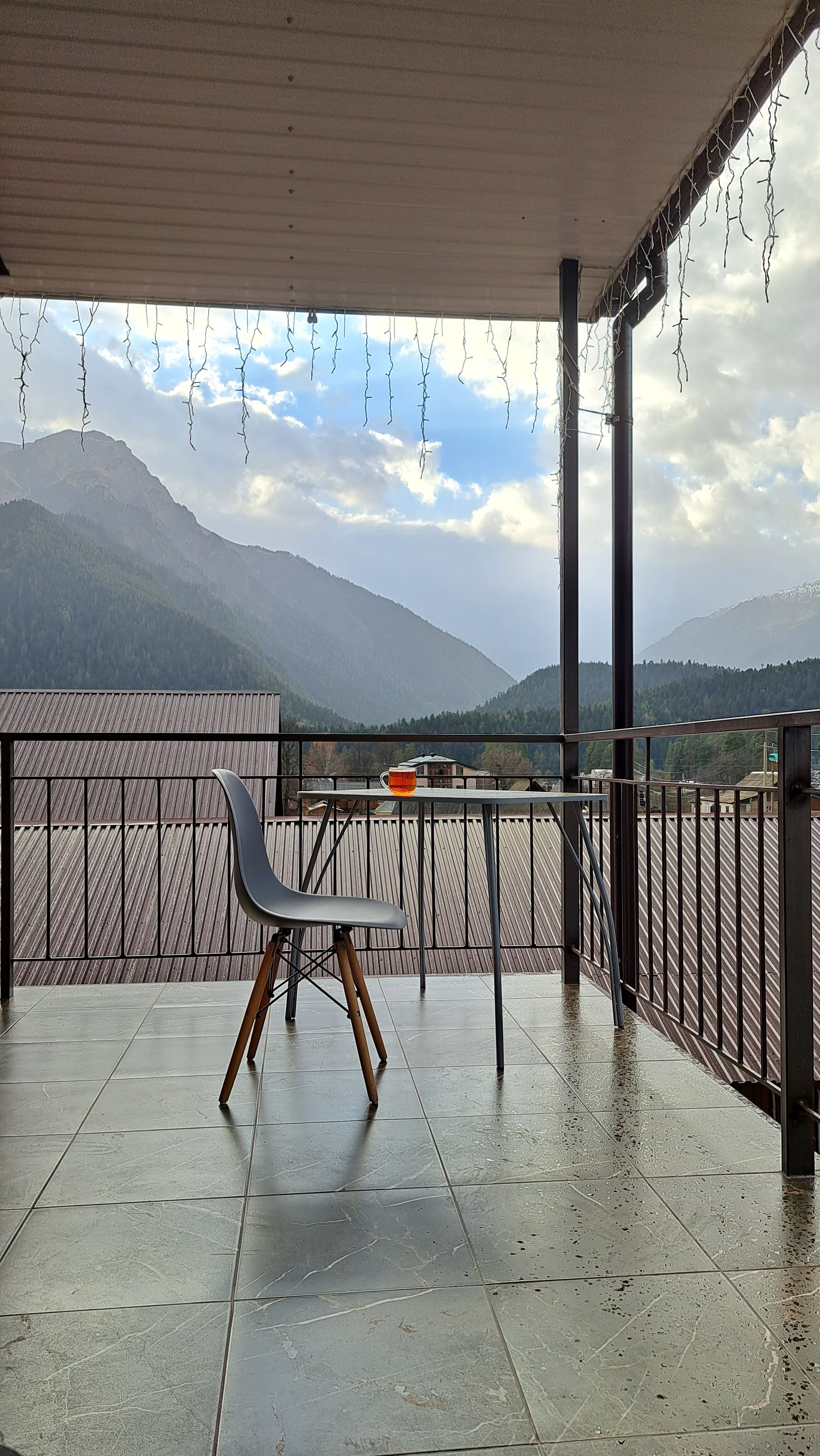 Фото Пихты Snow Point