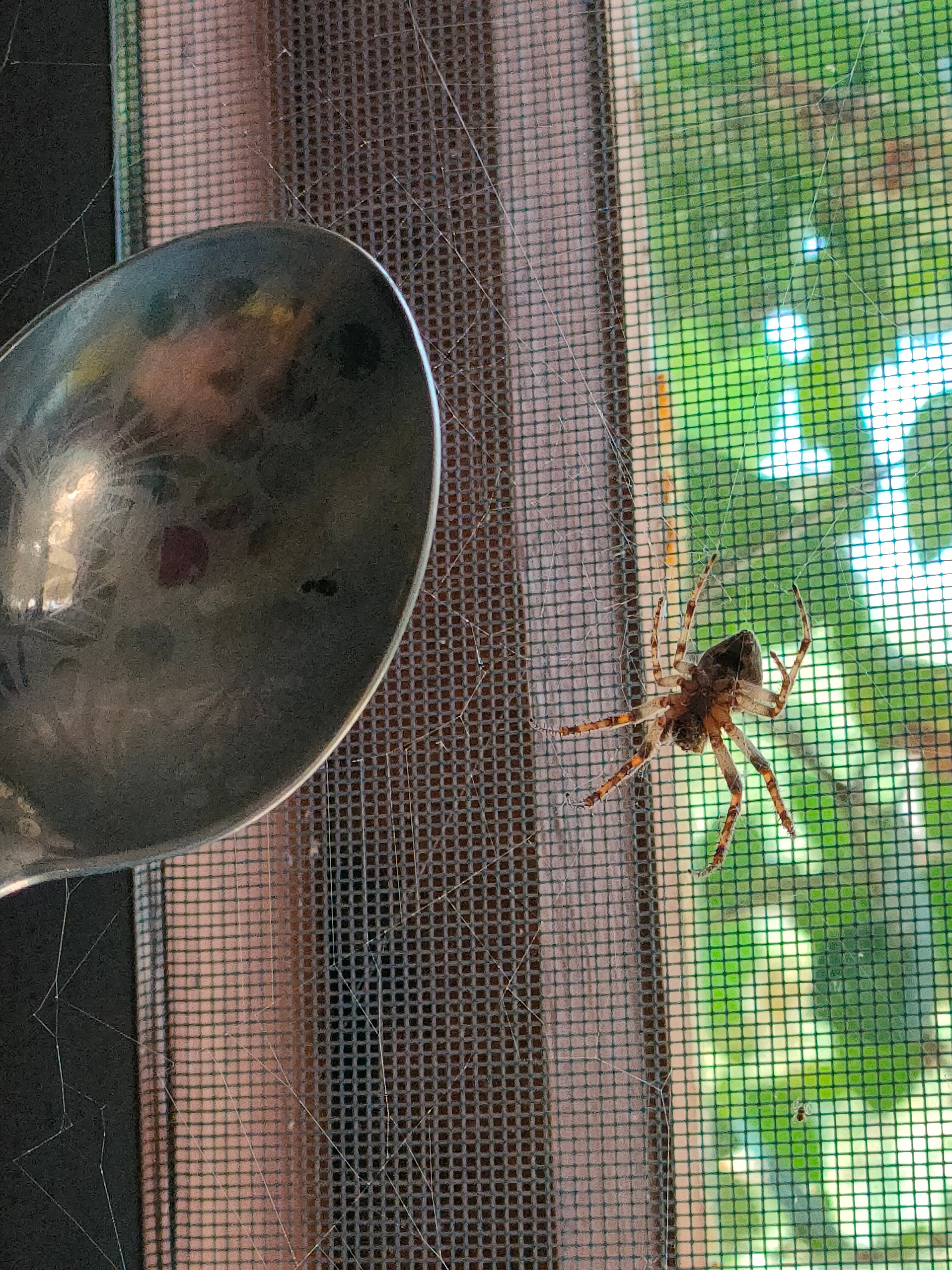 Фото Баден на Кубани