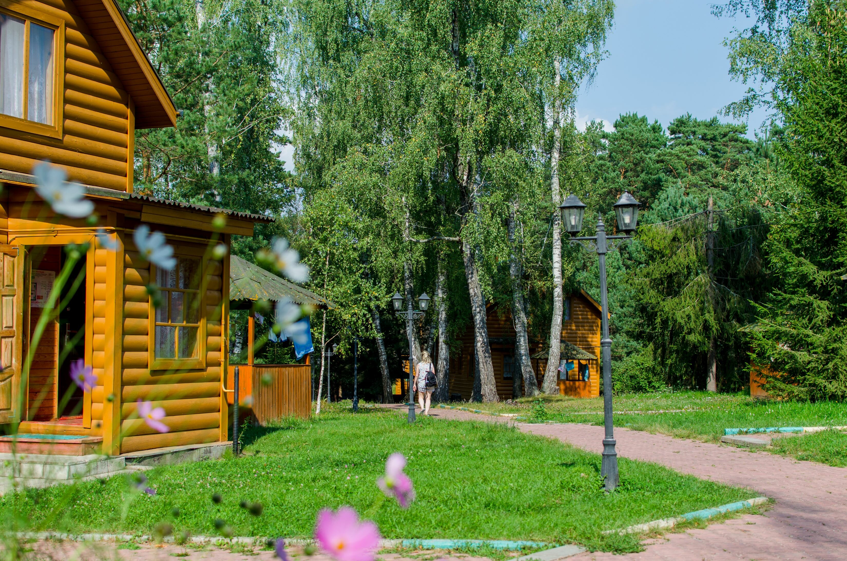 Фото Берёзовая роща