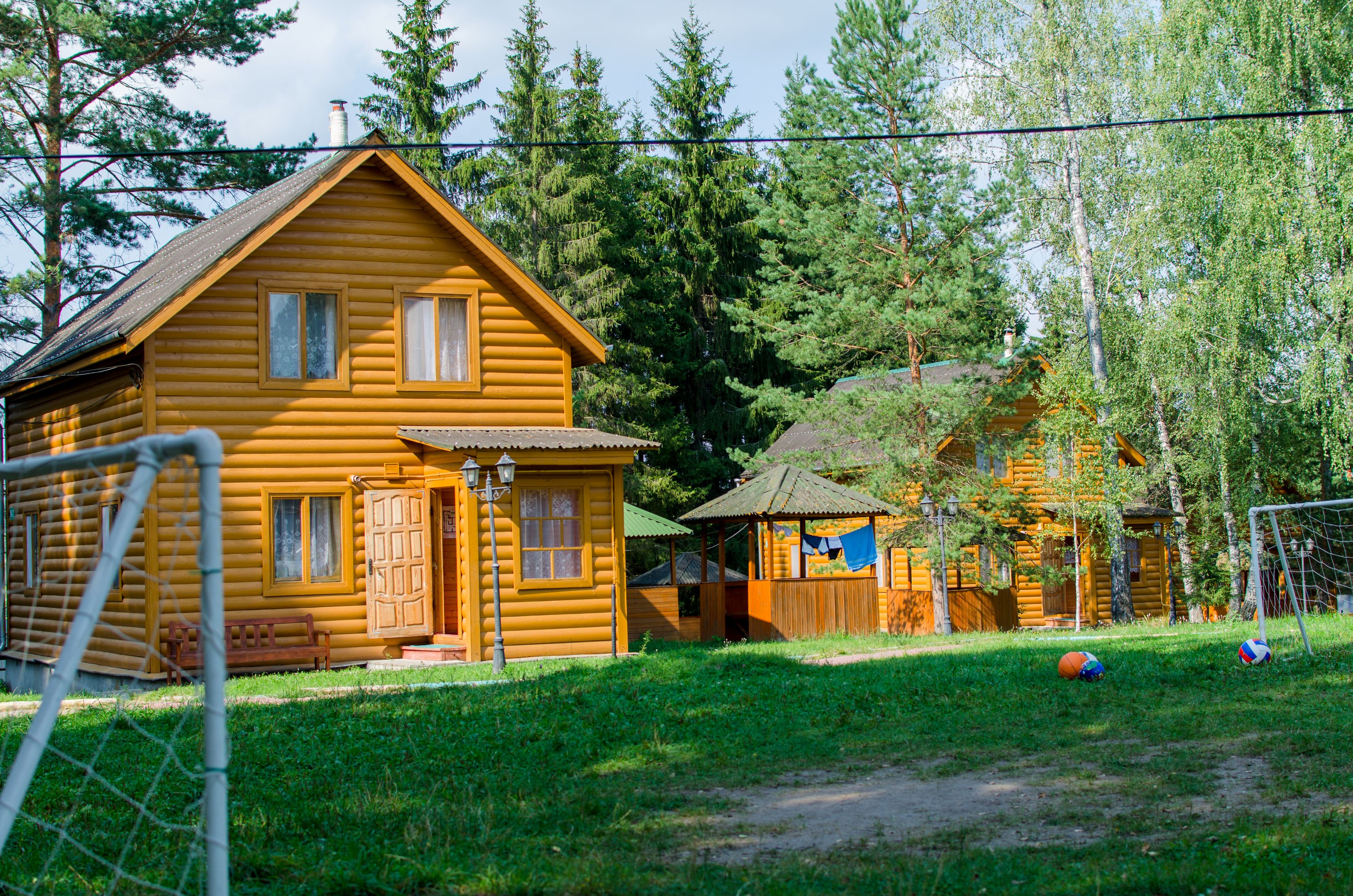 Фото Берёзовая роща