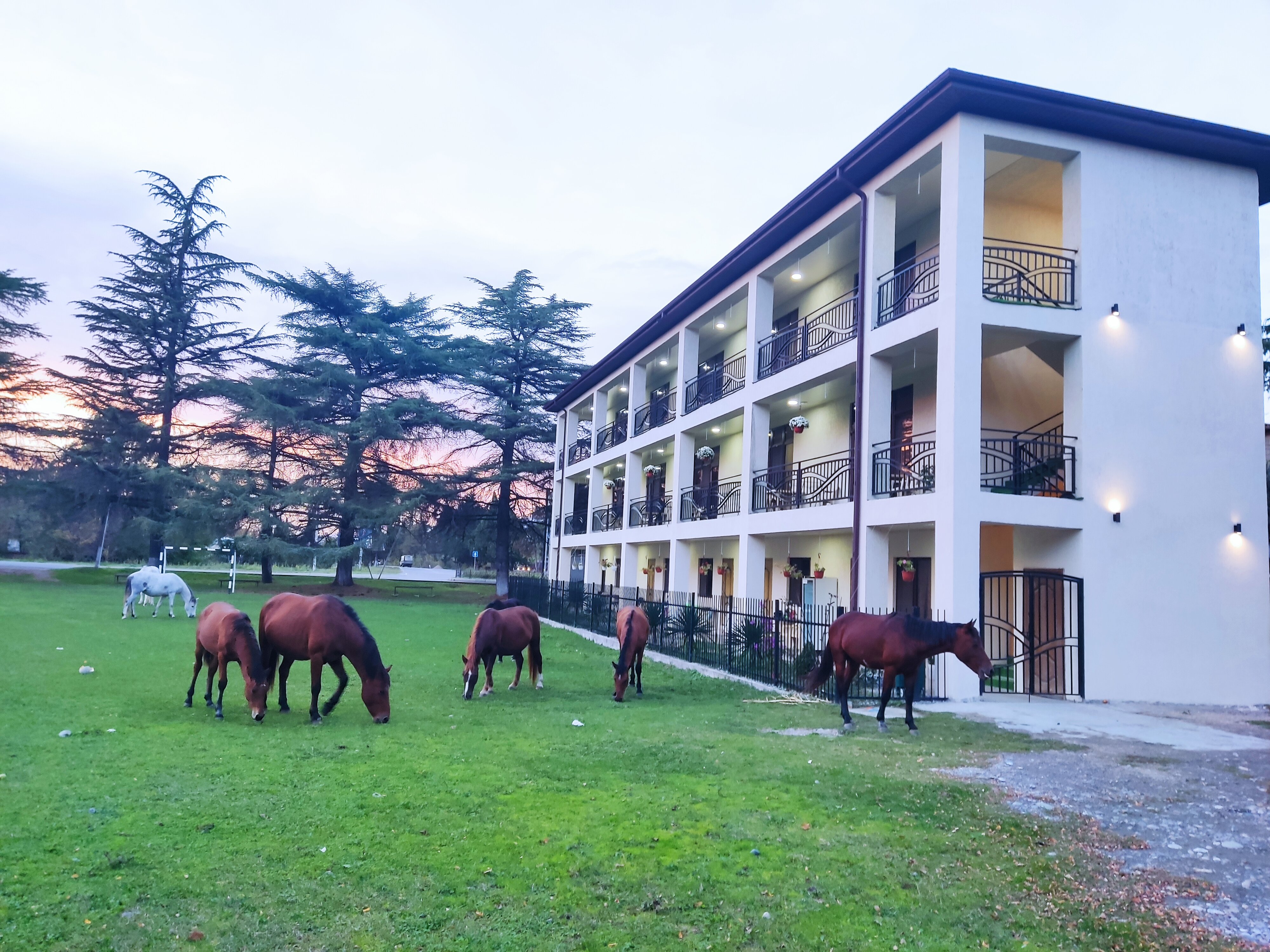 Фото отеля 3