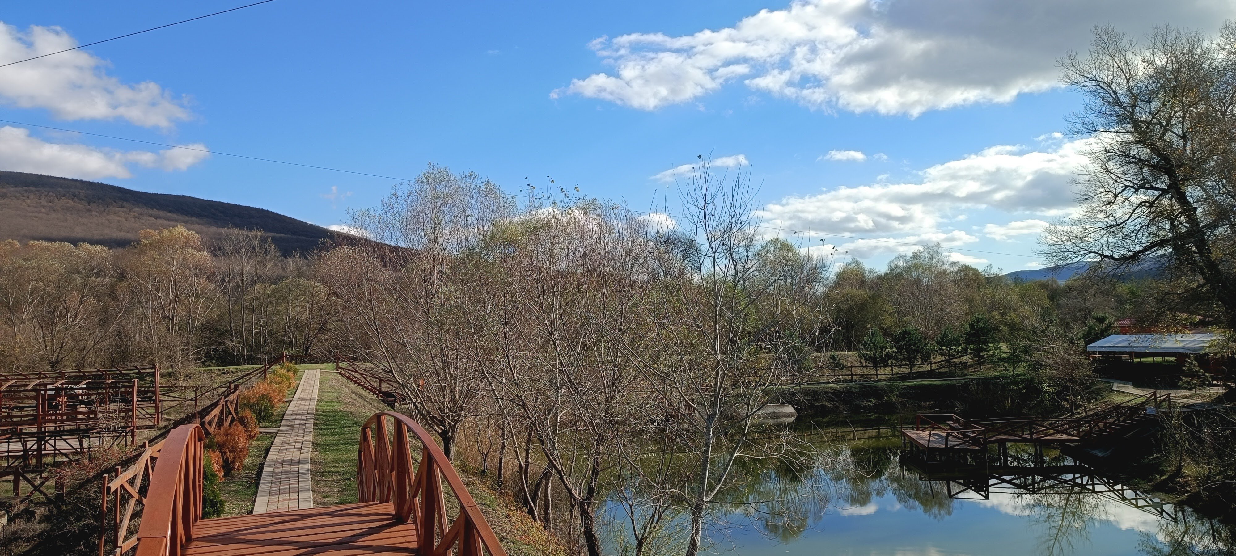 Фото Светлячок