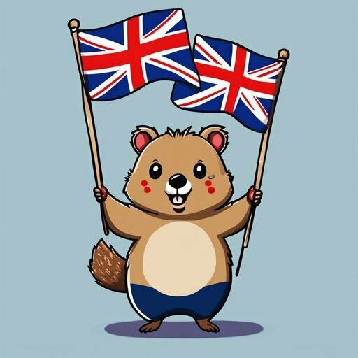 Foreign language courses Quokka English, Dzerzhinsky, photo