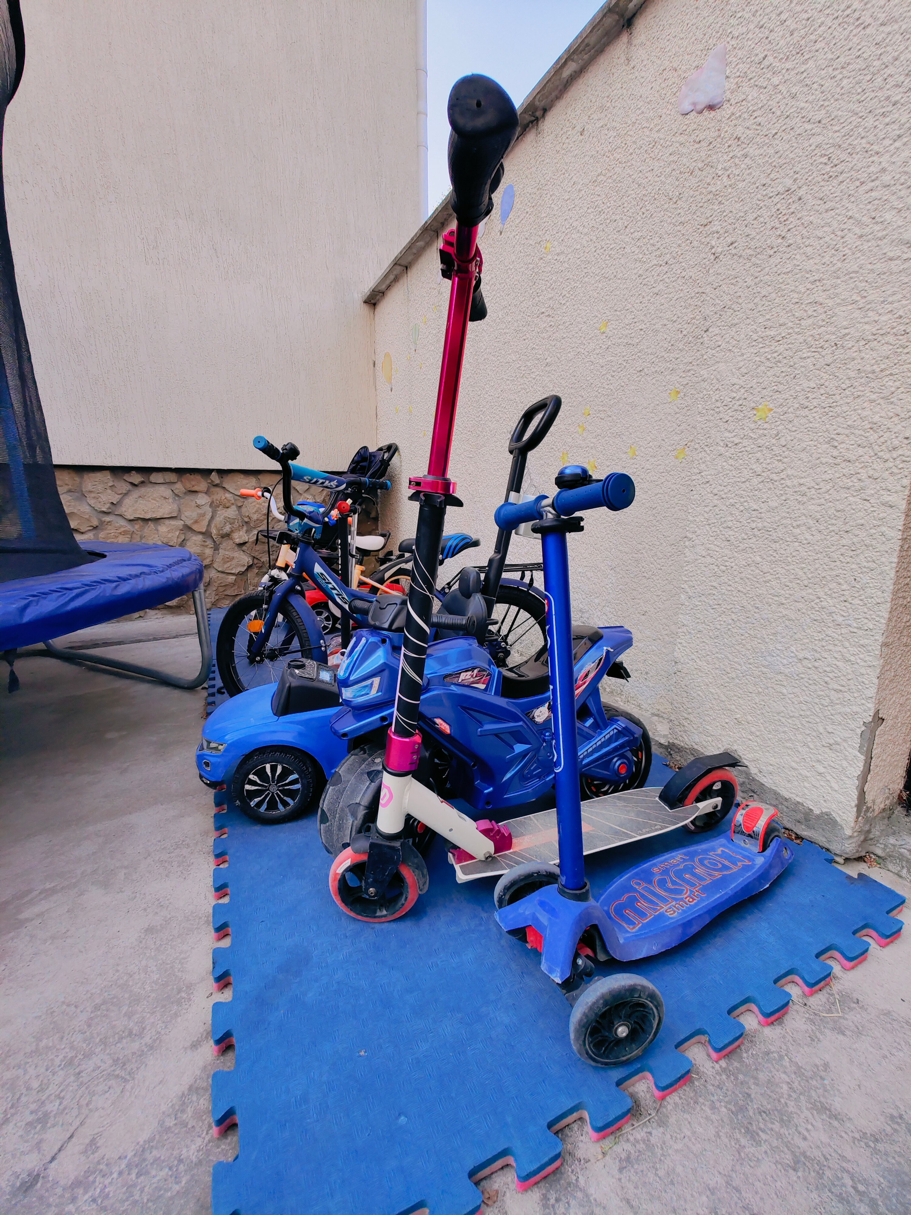 Фото Малинка