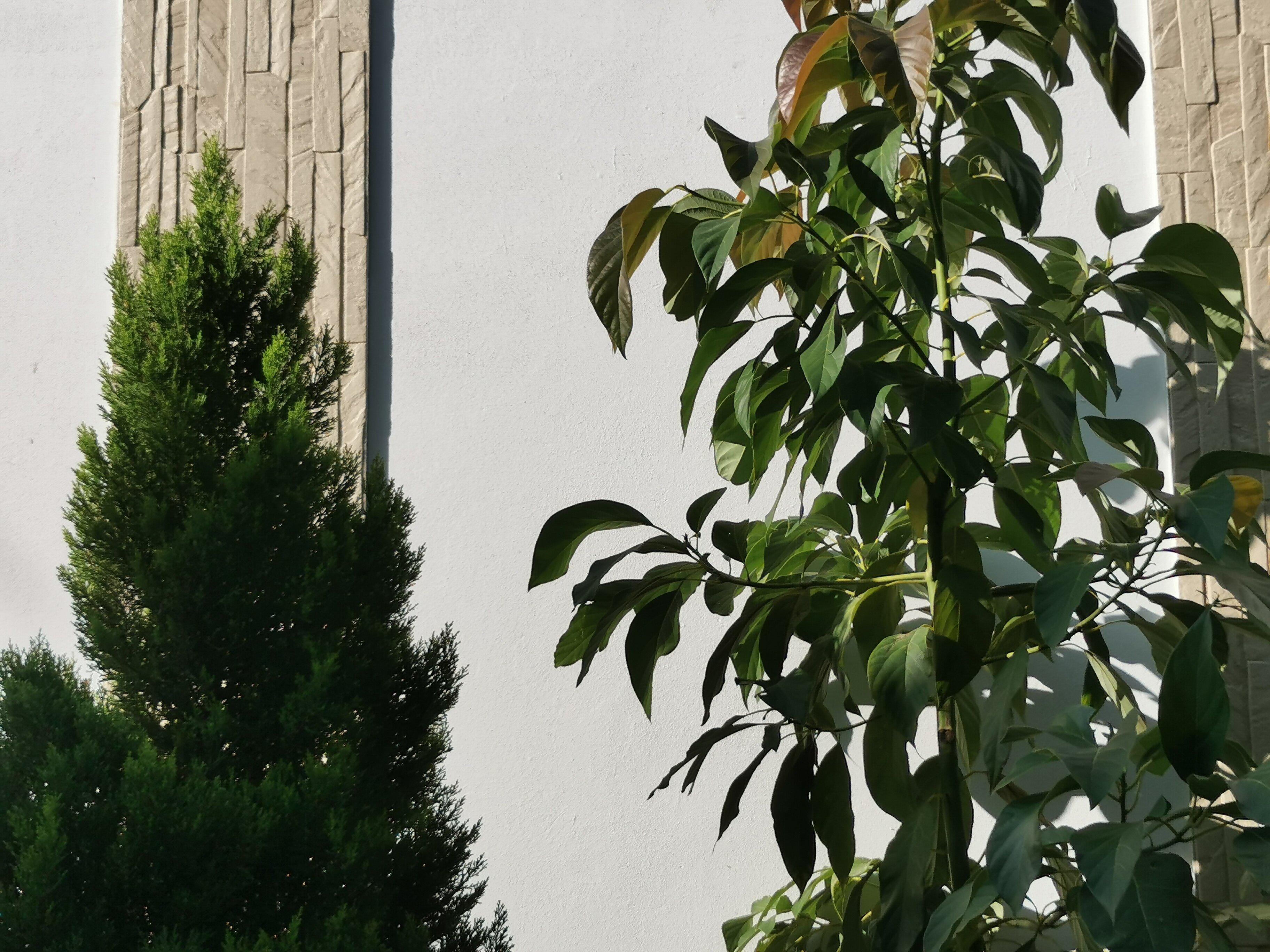 Фото Современник