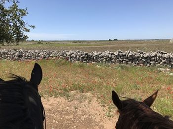 Фото Masseria Prosperi