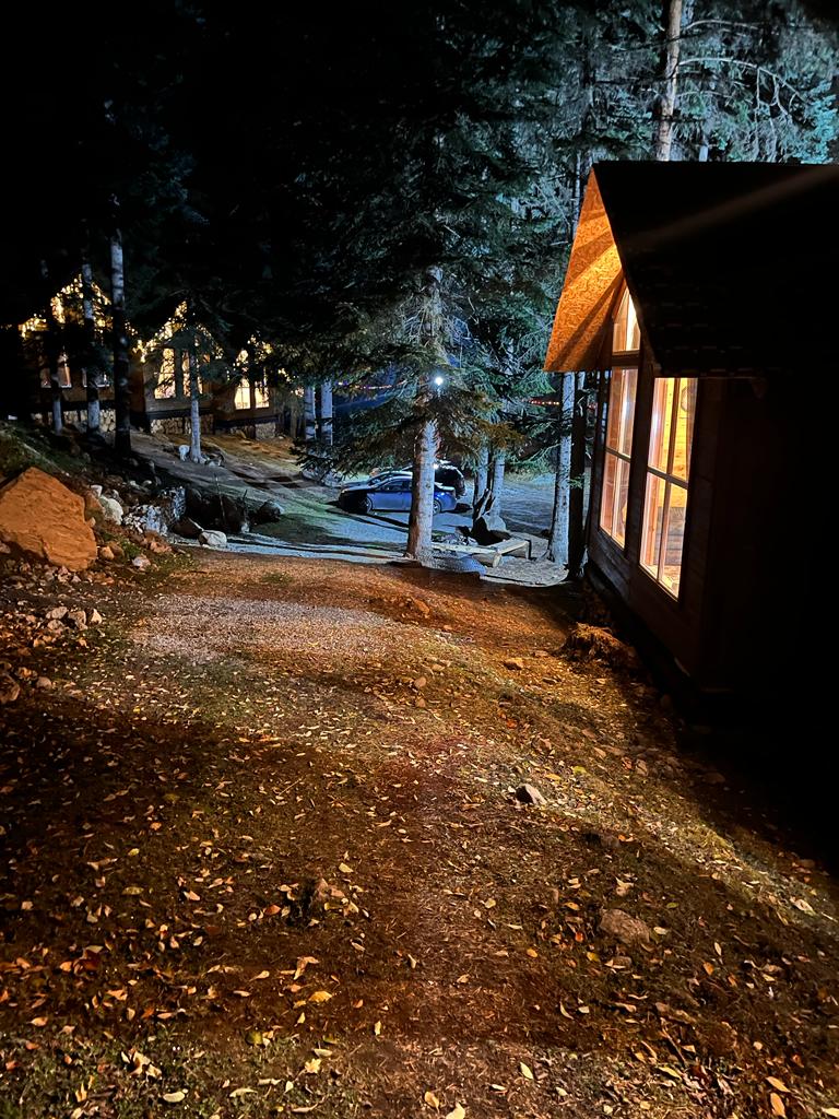 Фото Авалон