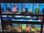 Diskus 63 (Michurina Street, 132), aquariums