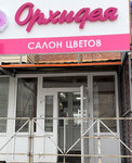 Орхидея (9th Microdistrict, 2) ، محل زهور