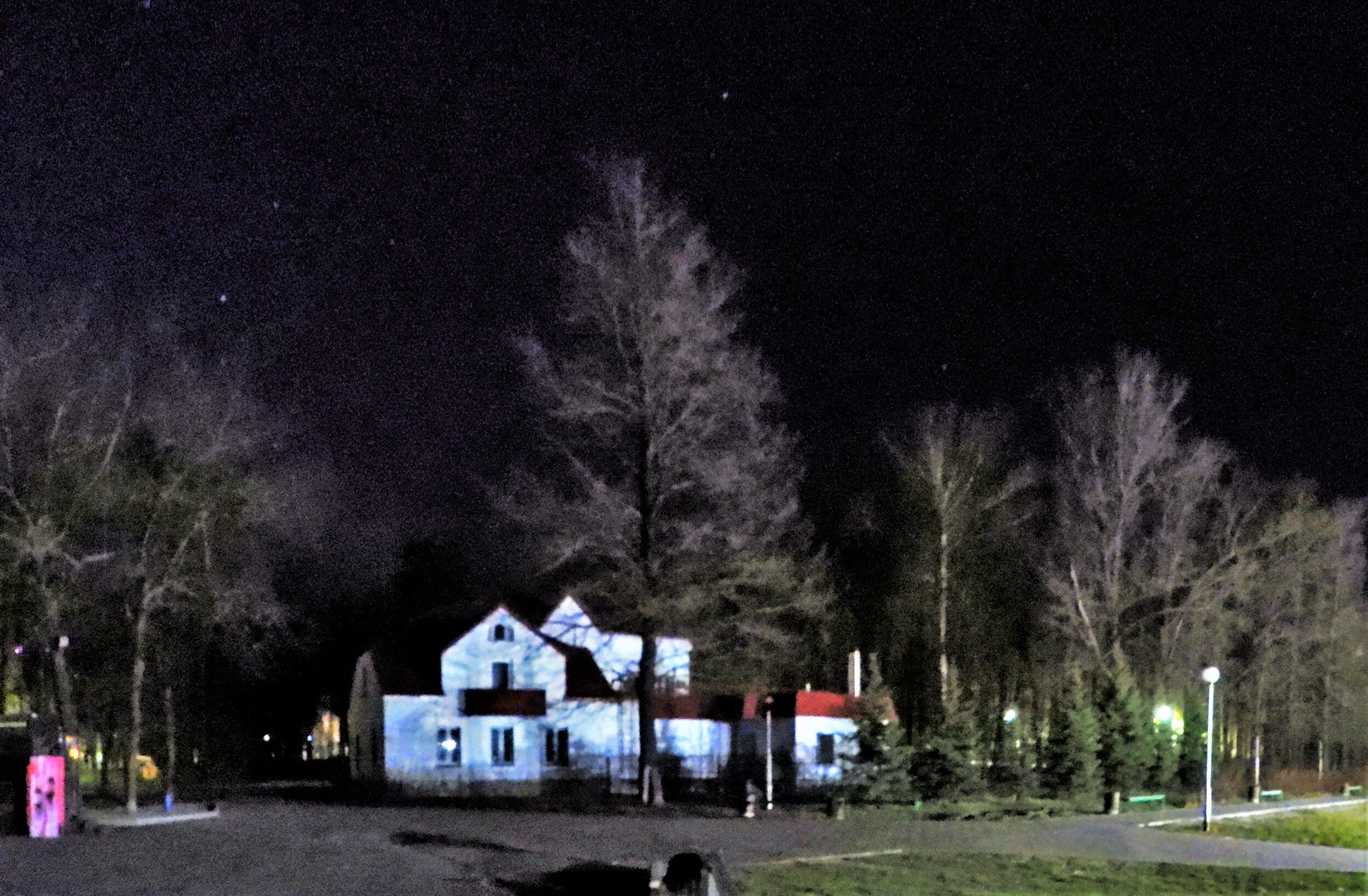 Фото Лесная