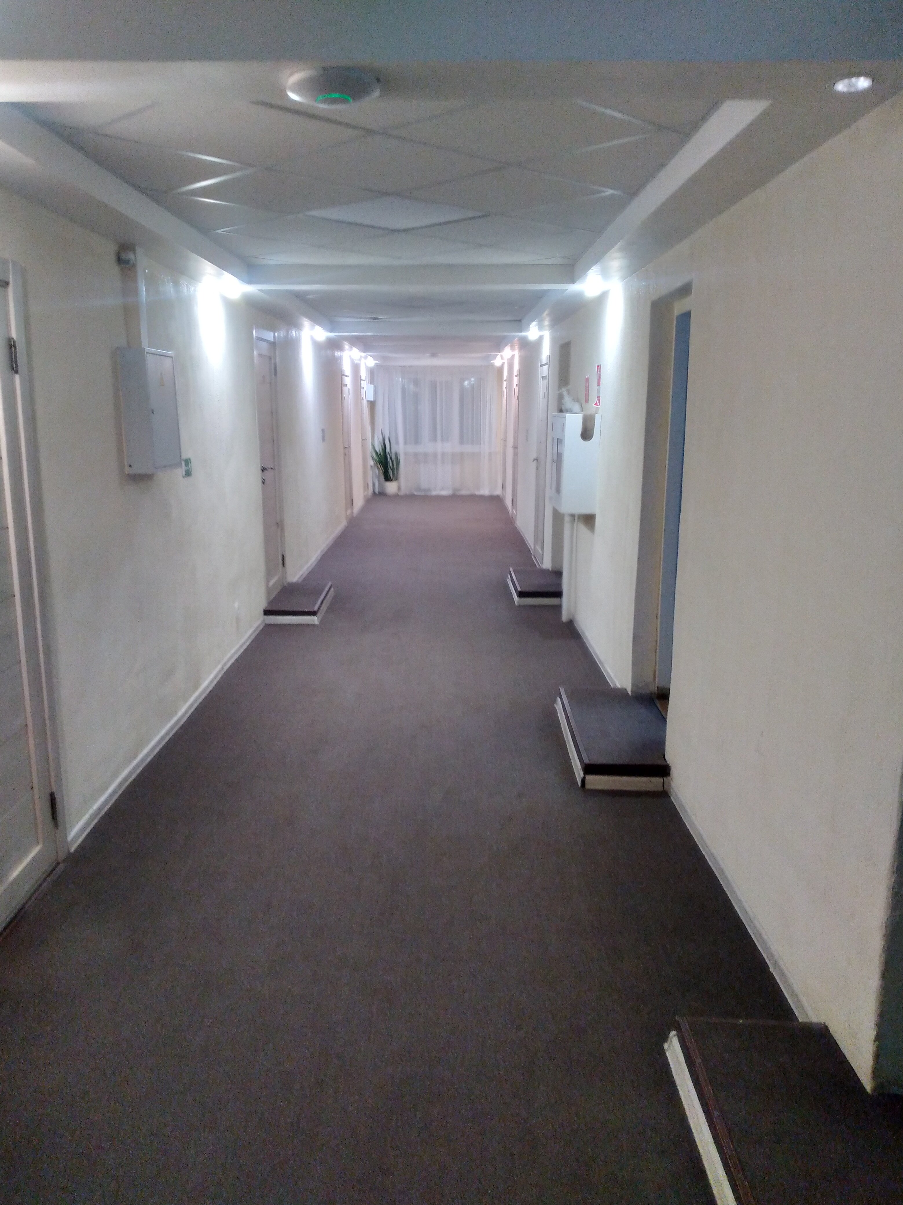 Фото Каргополочка