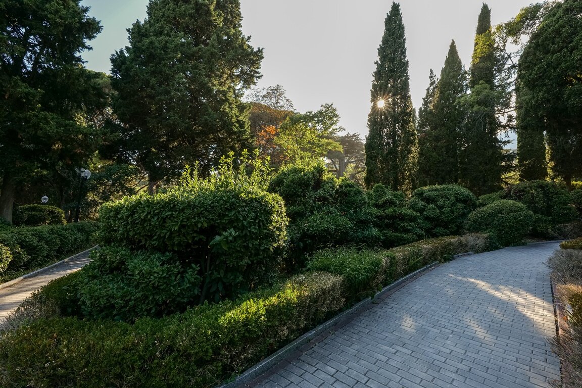 Фото Пушкино