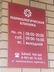 Маммологическая клиника (Klinskaya ulitsa, 32А), medical center, clinic