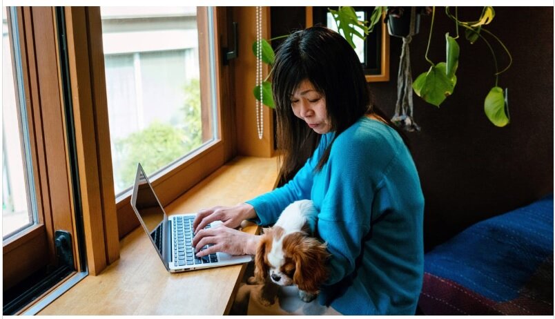 Фото Гостевой дом The Sequeira Goa