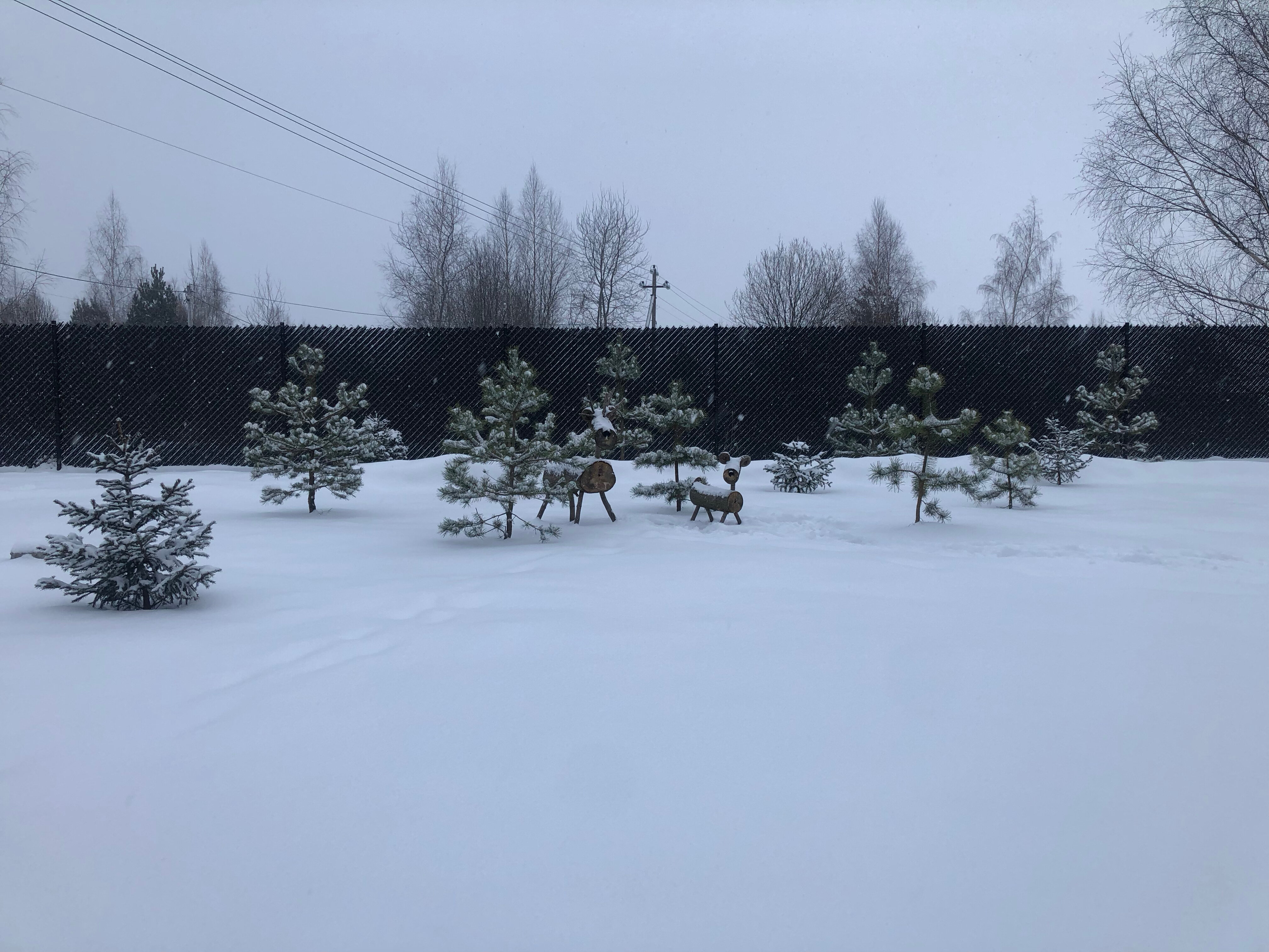 Фото Сканди куб