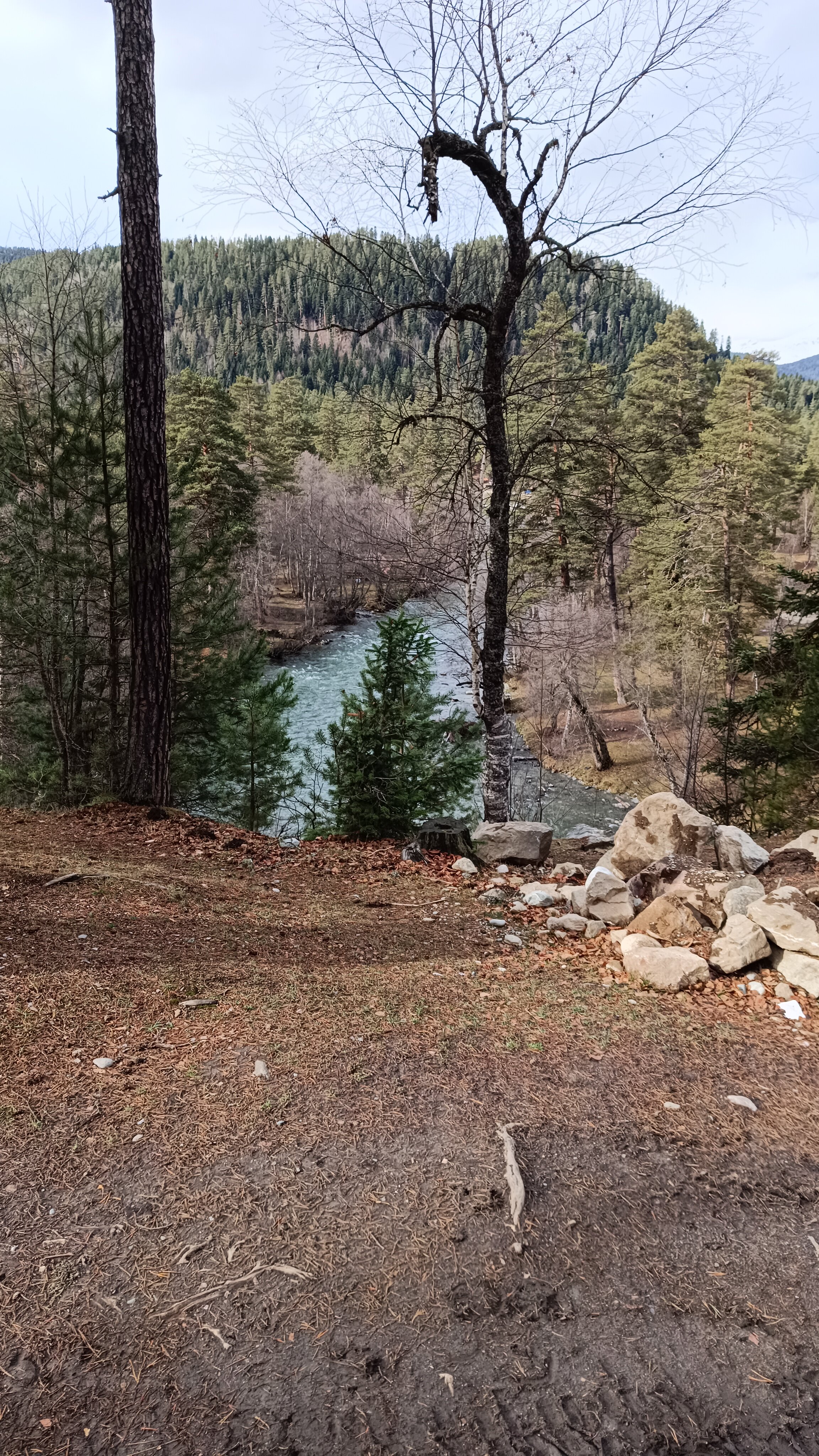 Фото Форест коттедж