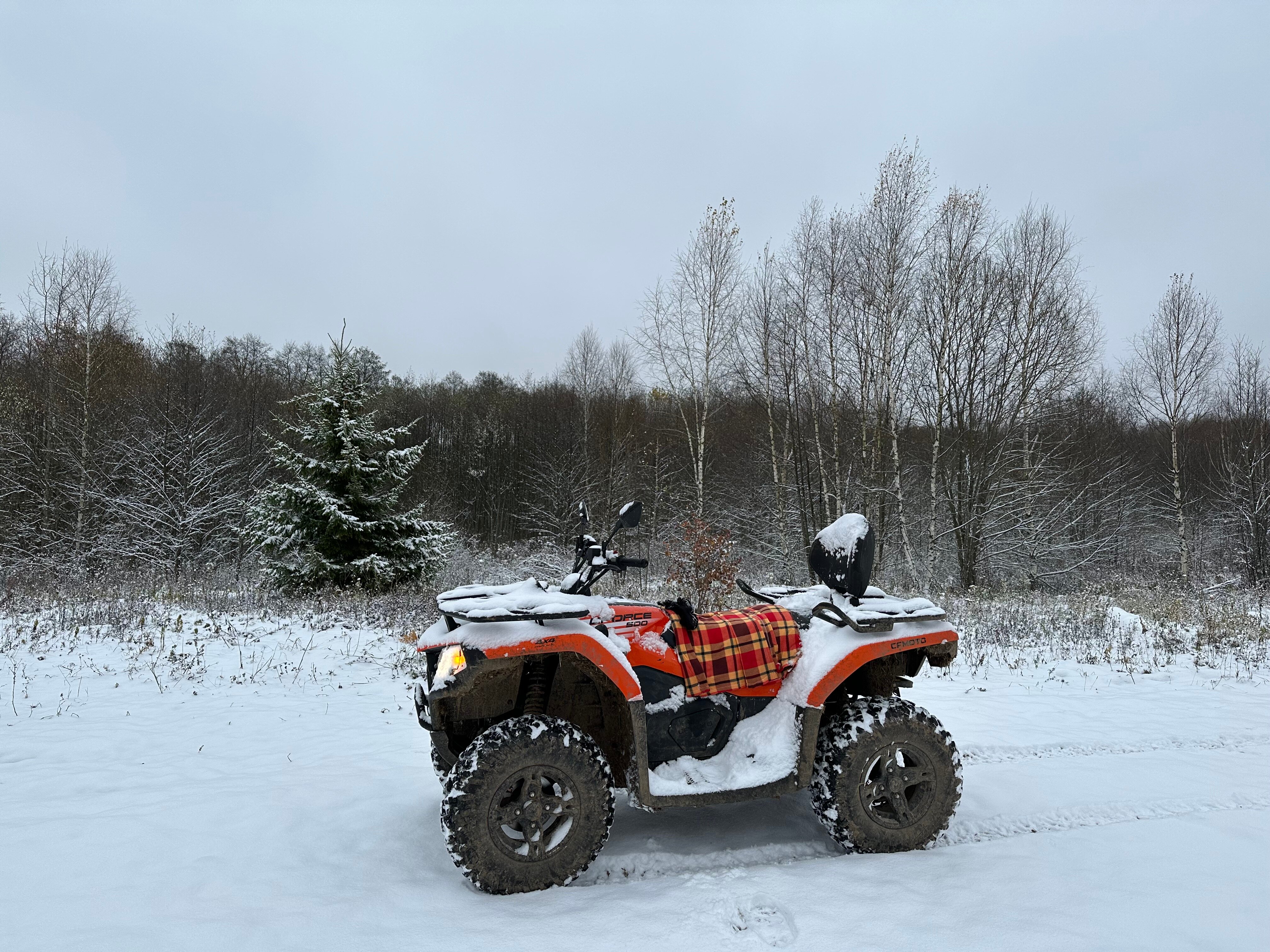 Фото Просто Cosmos