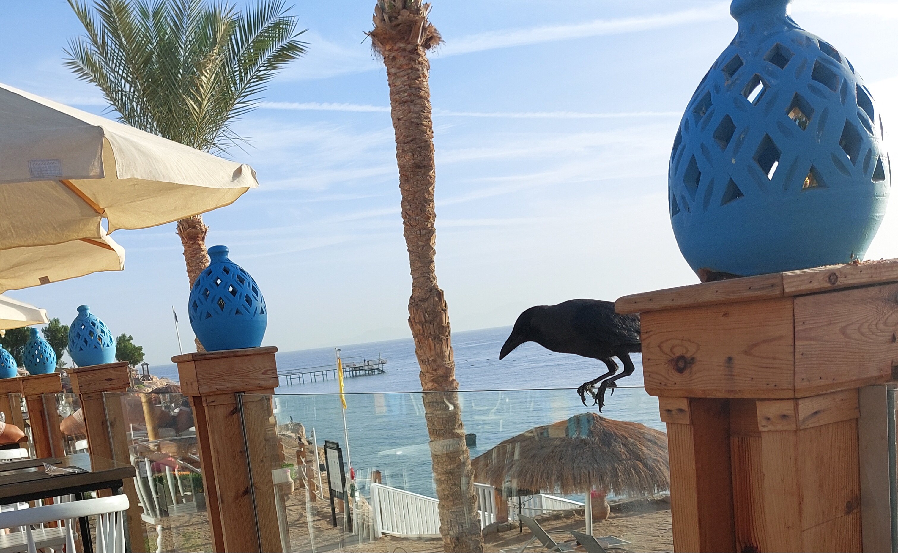 Фото Sunrise Diamond Beach Resort