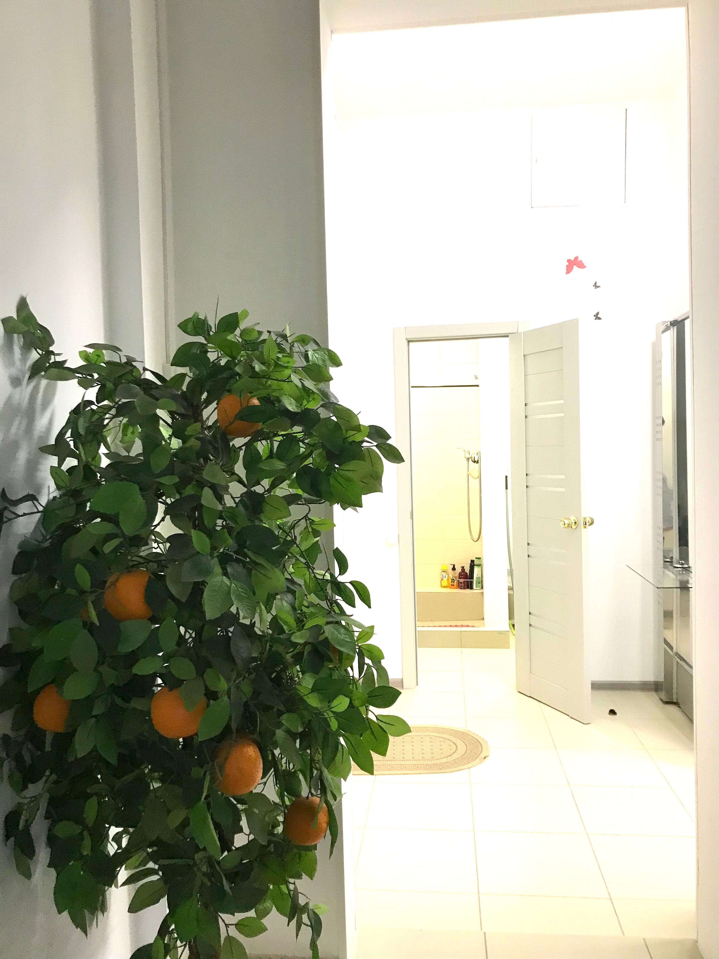 Фото Гостевой Домик