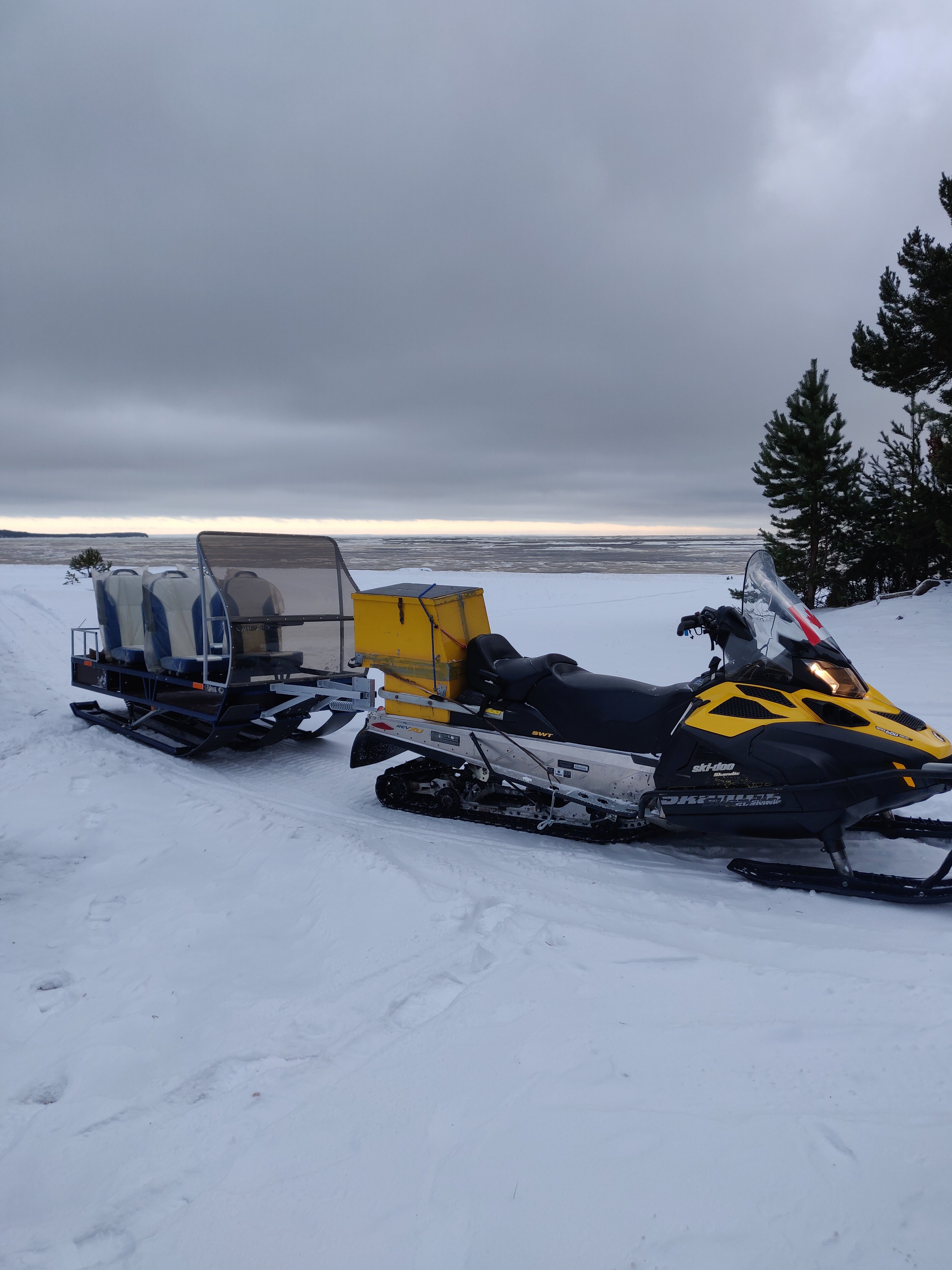 Фото Белый кит