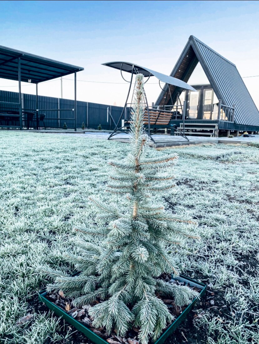 Фото A-frame МонДенсоль