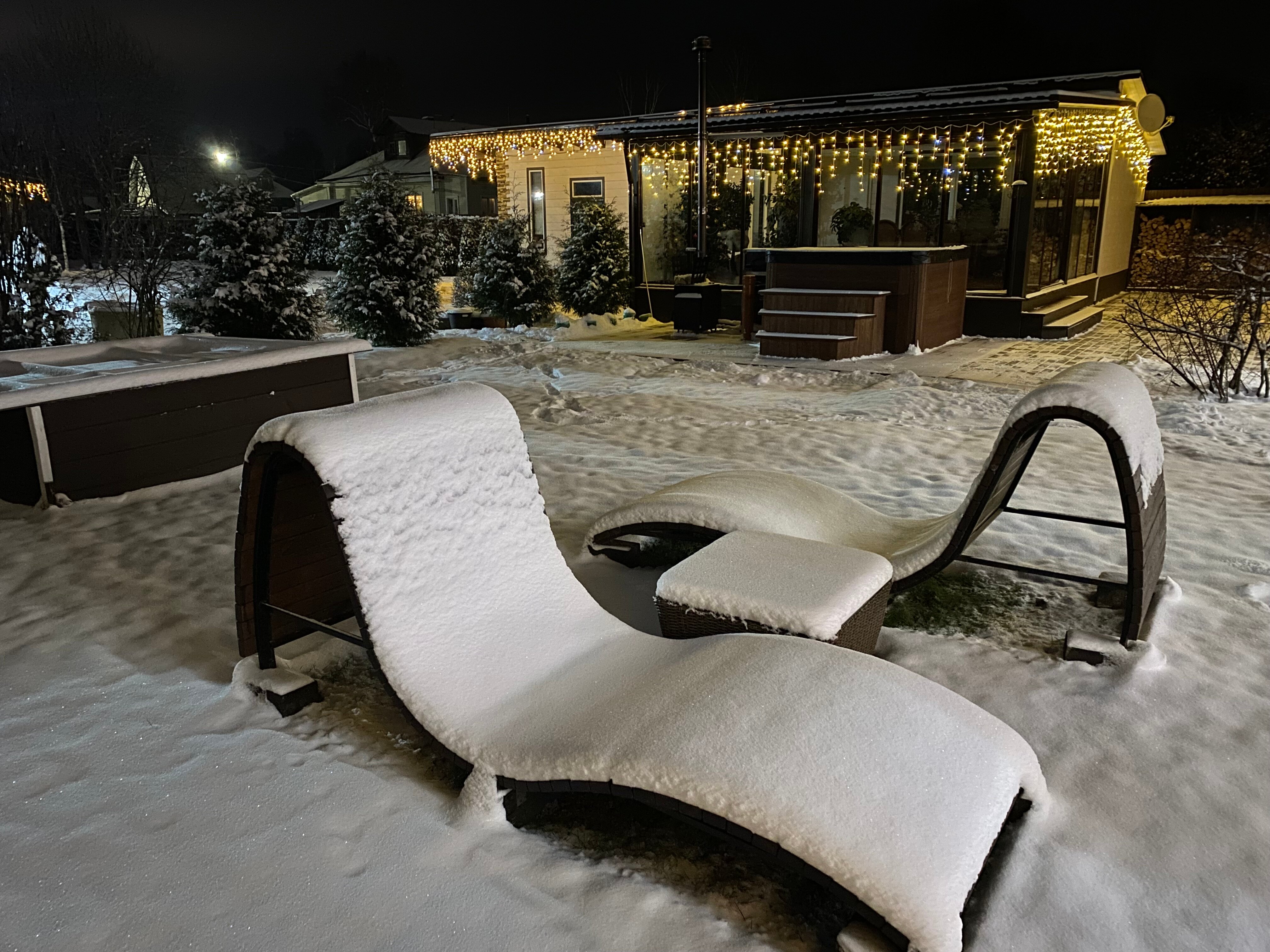 Фото Метелица