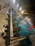 Red Star (Shokalskogo Drive, 45к3), swimming school